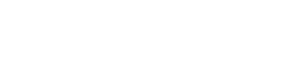 welidadancini.com.br